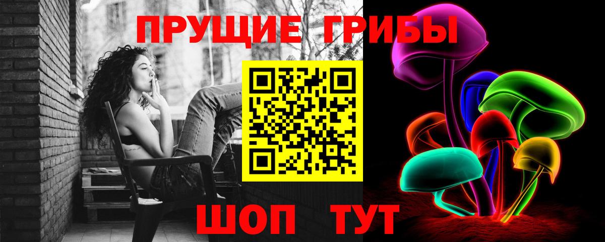 Псилоцибиновые грибы Cubensis Иваново